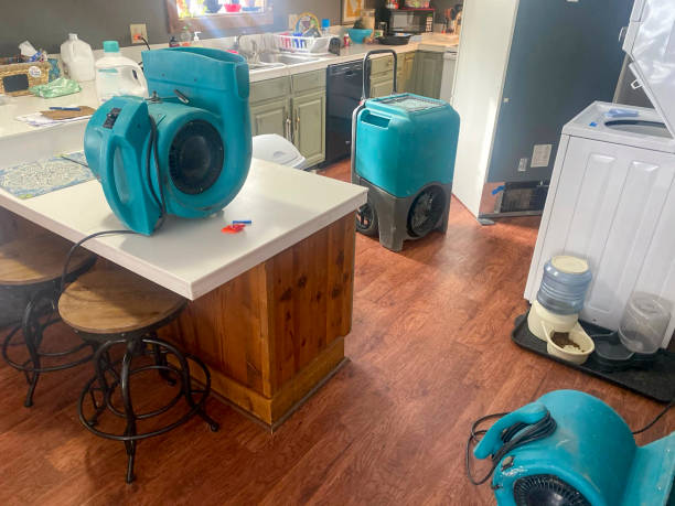 Best Sewage cleanup and water damage restoration  in French Mp, CA