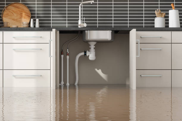 Best Carpet water damage restoration  in French Mp, CA